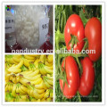 Fruit Ripening Agent PANPAN Rubber Ethephon 85% Technical Manufacture